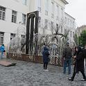 IMG_8608