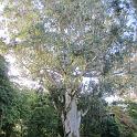 IMG_1120