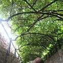 IMG_1366a