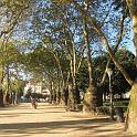 IMG_1439