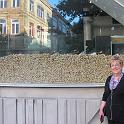 IMG_1445