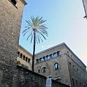 IMG_9440