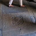 IMG_9446