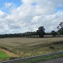 IMG_7064