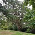 IMG_8250_112306