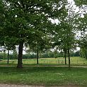 IMG_0481