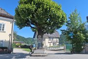 IMG_4077a