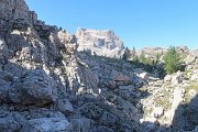 IMG_4384a