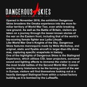 IMG_7875G_Omaka Dangerous Skies1