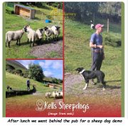 IMG_9999_IMG_0993b-web