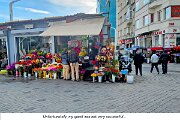 IMG_3183b_174617